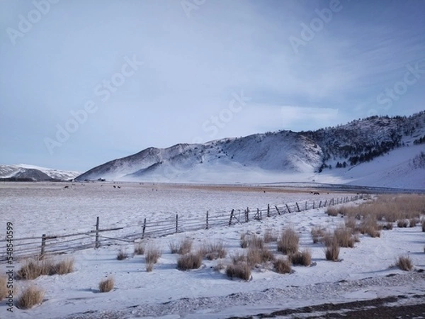 Fototapeta snow covered mountains