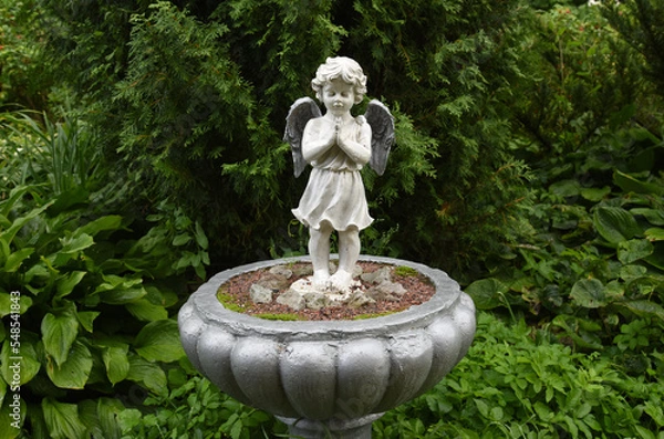 Fototapeta A wet statue of a little angel in the garden of a convent in the Russian city of Volkhov.