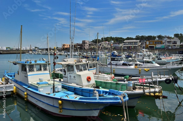 Obraz 田子の浦漁港の風景