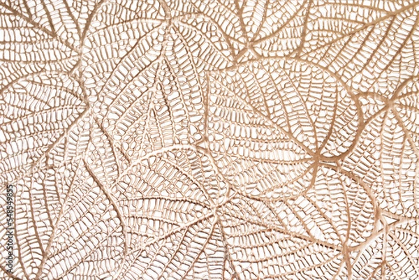 Fototapeta gold texture white background