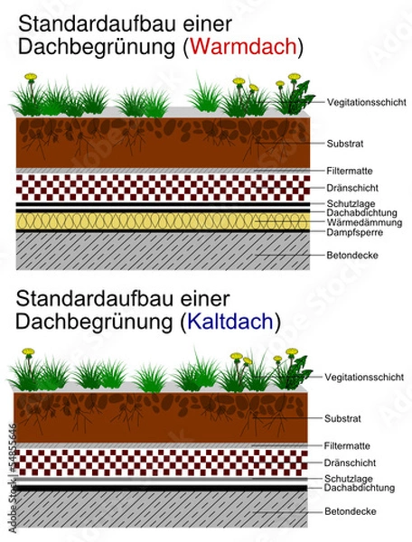 Obraz Standardaufbau einer Dachbegrünung