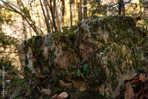 Obraz Nature et rocher 
