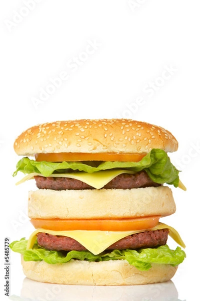 Fototapeta Double cheeseburger, reflected on white background