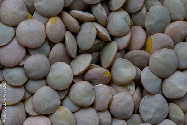 Fototapeta lentilha