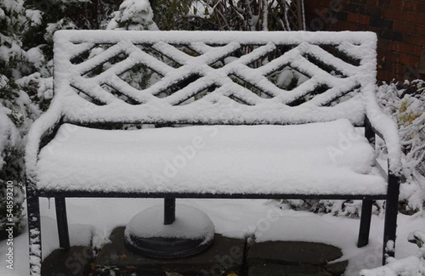 Obraz Snow Bench