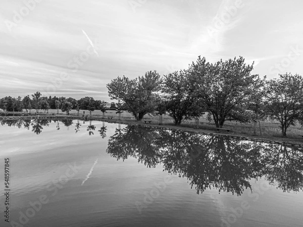 Obraz Landscape with lake and trees