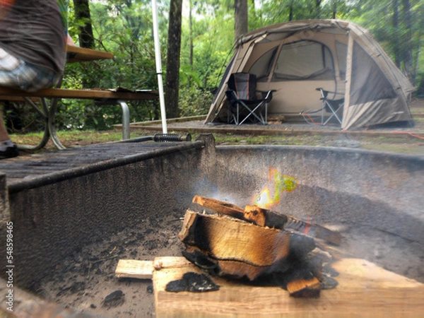 Obraz camping in the woods