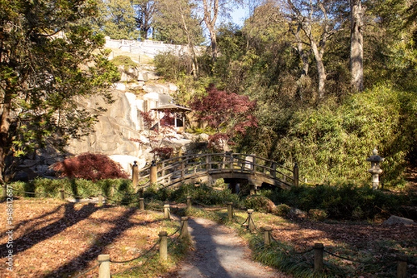 Obraz Japanese Garden trail with Bridge to walk on.