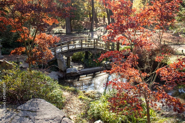 Obraz Japanese Garden trail with Bridge to walk on.