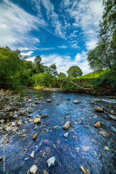 Obraz river in the woods