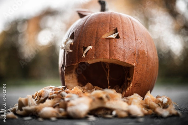 Obraz halloween pumpkin 