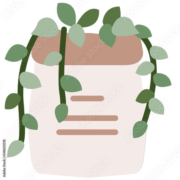 Obraz Devil's ivy icon