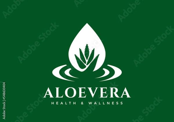 Fototapeta The aloe vera logo is suitable for fitness business symbols.