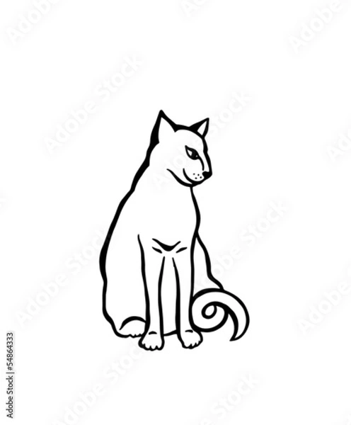 Fototapeta white cat