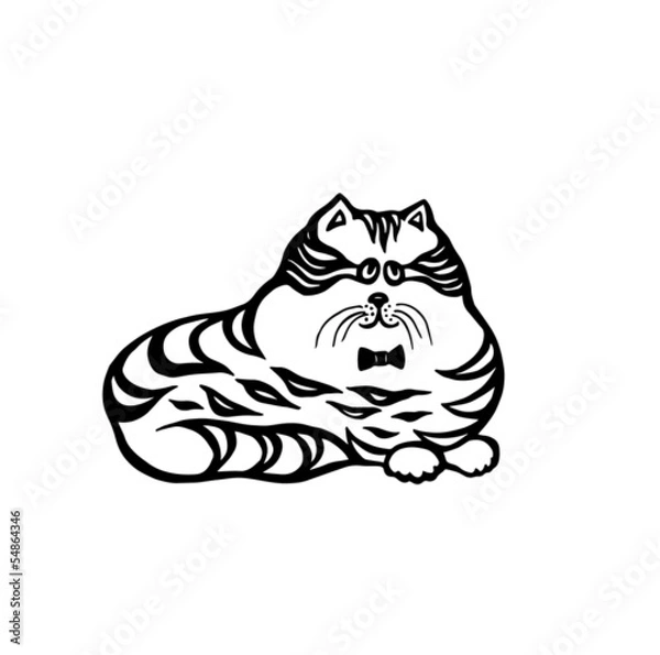 Fototapeta big fat cat