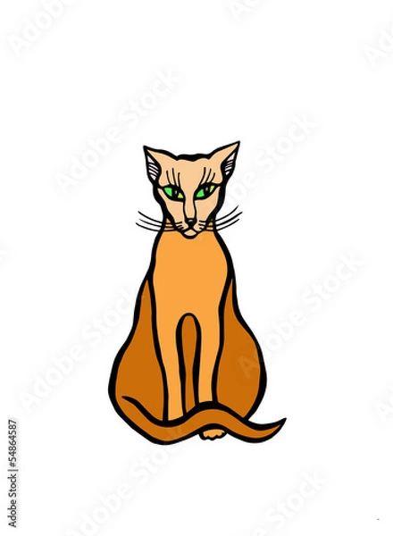 Fototapeta Siamese cat