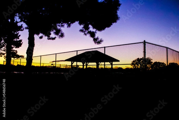 Fototapeta sunset in the park