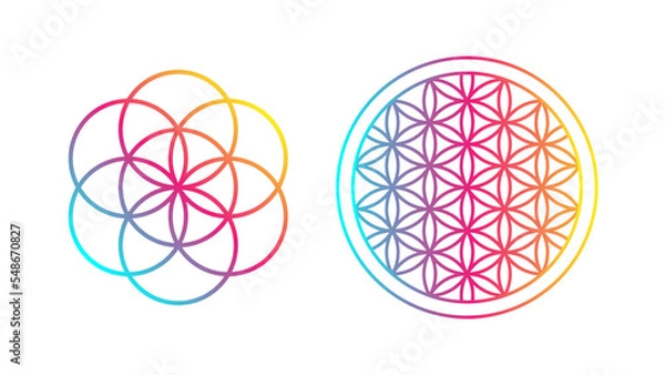 Obraz Flower of life gradient on white background