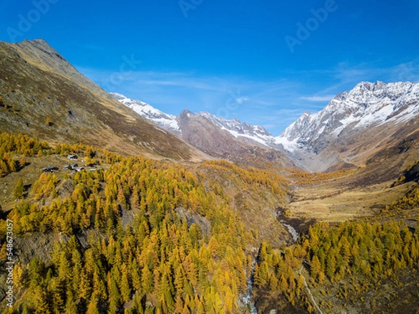 Obraz Aerial view of the Fafler in Lötschental valley in autumn with yellow larch trees and the Longza river under and Long Glacier (Langgletsche) at the background