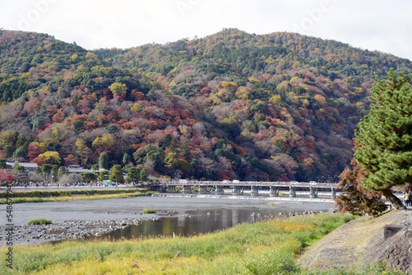 Obraz 紅葉の嵐山と渡月橋　京都市右京区嵯峨