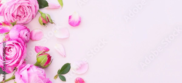 Fototapeta Buds, flowers and rose petals on a pink background