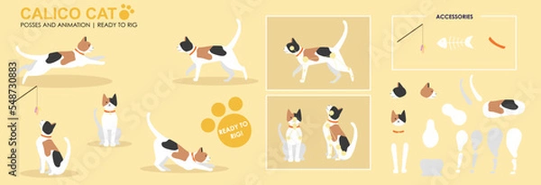 Obraz Cute Ginger black and white Calico cat, jumping, playing multiple poses, positions. Vector broken down ready to rig and animate, cartoon cat playing eating. Animation	
