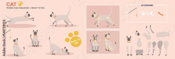 Obraz Cute Siamese cat, jumping, playing, multiple poses, positions. Vector broken down ready to rig and animate, cartoon cat playing eating. Animation	
