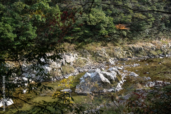 Fototapeta 紅葉と渓谷の綺麗な秋の長門峡　山口県