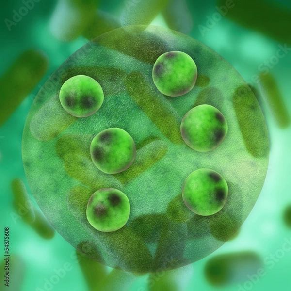 Fototapeta Volvox aureus - 3d Render