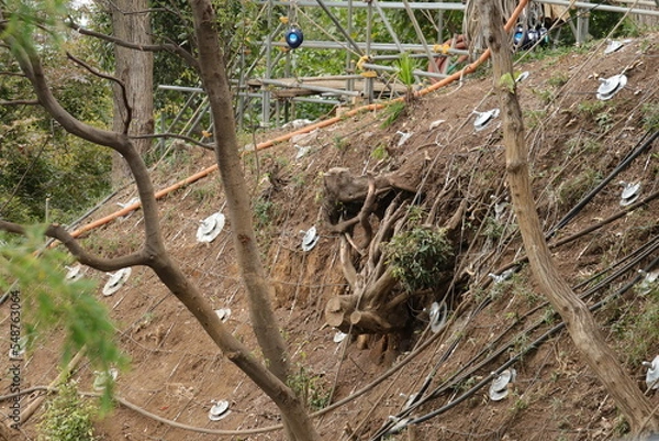 Obraz 斜面補強工事のアンカー工法