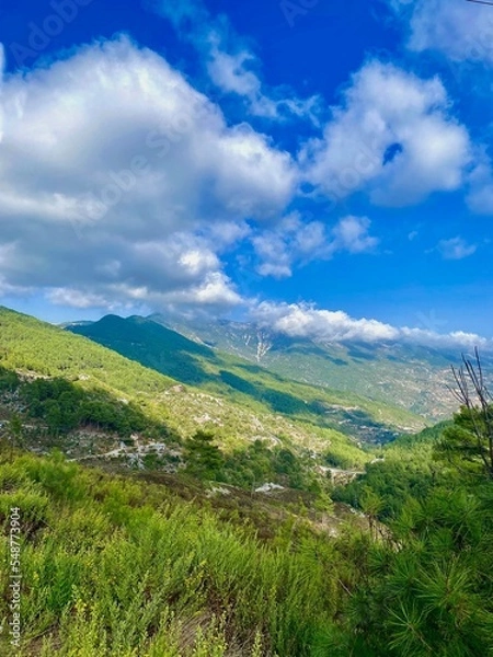 Fototapeta landscape with mountains and sky