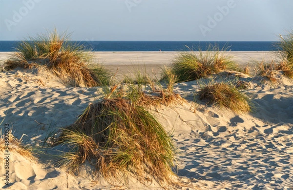 Obraz Dünen Insel Borkum