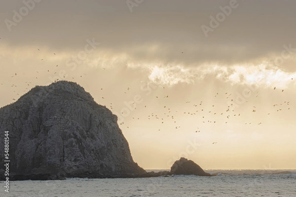 Obraz sunset on the beach