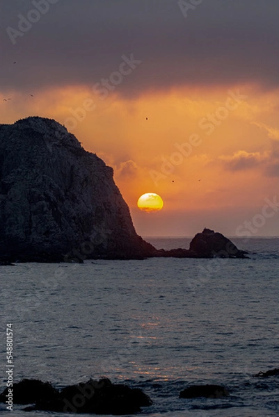 Obraz sunset on the beach