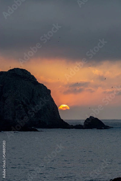 Obraz sunset on the beach