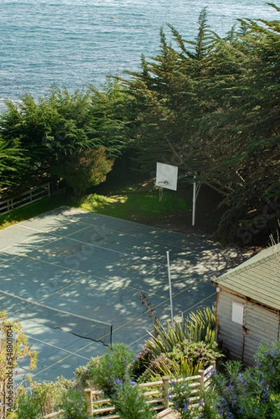 Obraz nature basket garden 