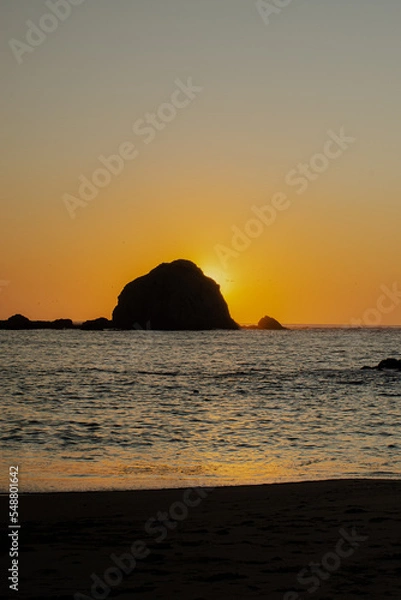 Obraz sunset on the beach