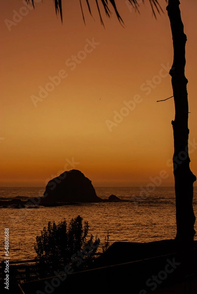 Obraz sunset on the beach