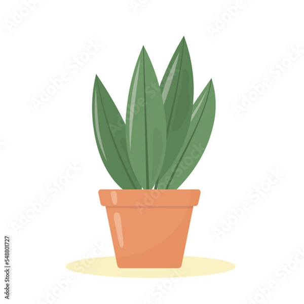 Obraz green houseplant in a clay pot- vector illustration