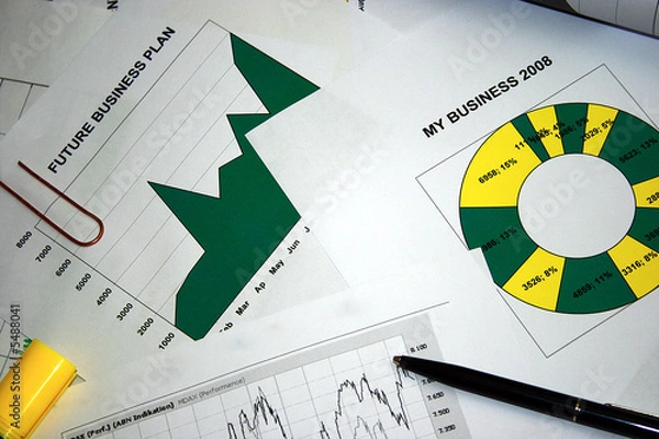 Obraz Business Plans 2008
