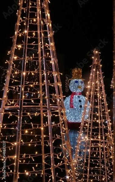 Obraz Muñeco de luces