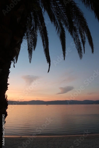 Obraz Atardecer con palmeras