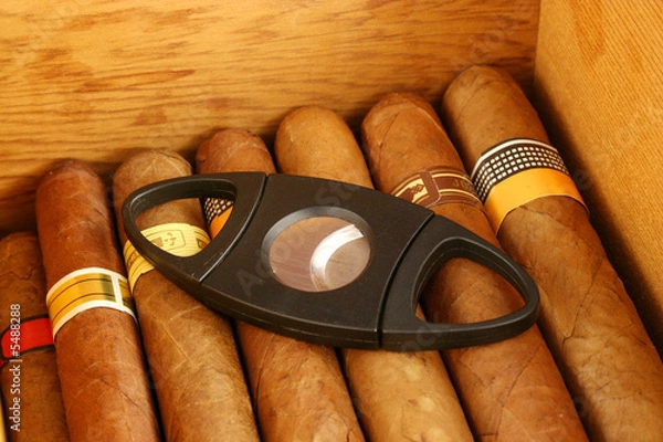 Fototapeta Cigars with cutter