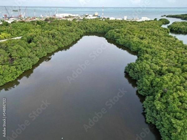 Fototapeta Aerial view of a mangrove lagoon in the Old Point regional park of San Andres Island, Colombia
