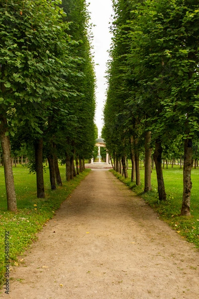 Obraz Walkway lane path with green trees lead to white gaazebo in the park
