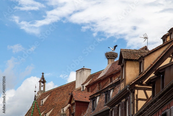 Fototapeta French village in the Alsace area with several Storks in a nest on a roof