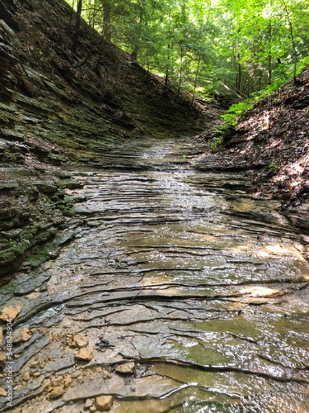 Fototapeta stream in the forest
