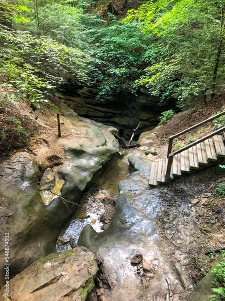 Fototapeta stream in the forest