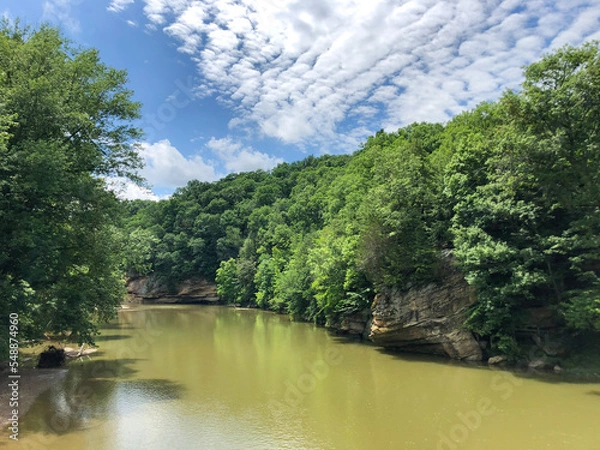 Obraz river in the forest