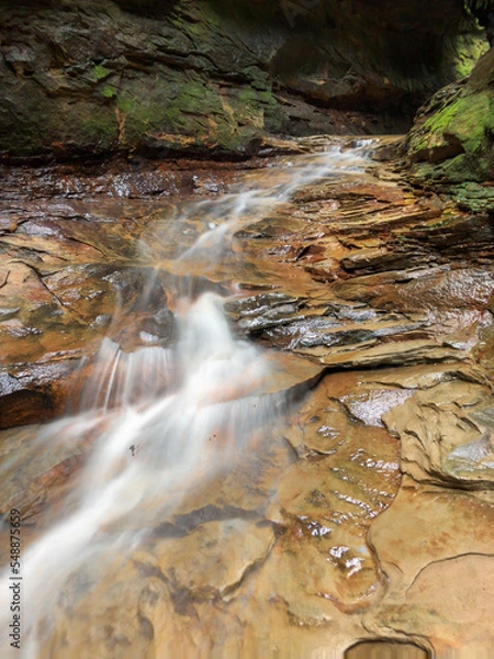 Obraz waterfall in the forest
